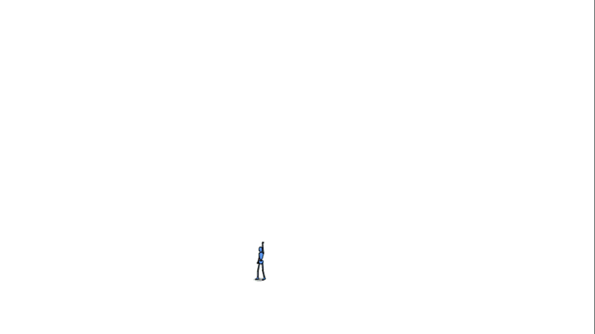 Skill Name animation